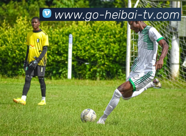 黑白体育APP 封面图